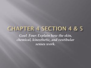 Chapter 4 Section 4 & 5