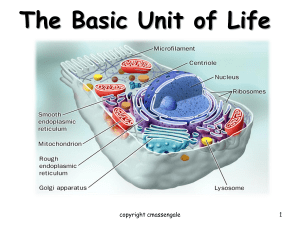 Chapter 3 The Basic Structure of a Cell