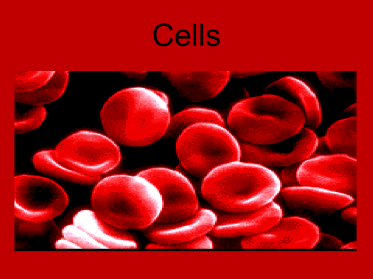 cell-structures-powerpoint