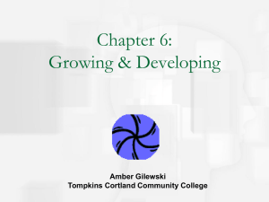 chapter 6 growing & developing - Home