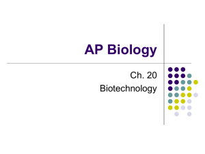 AP Biology Ch. 20 DNA tech