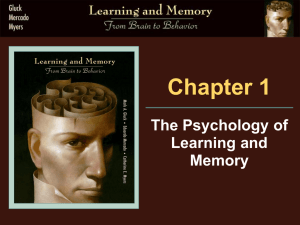 Chapter 1 - Learning and Memory