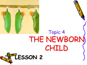 Topic 4 The newborn child
