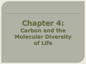 Carbon & Molecular Diversity