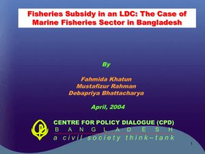 Fisheries Subsidies in an LDC Context: The Case of