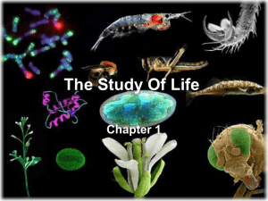 Scientific Method and Characteristics of Life