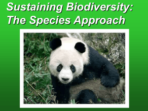 Species Restoration