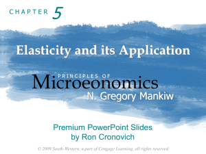 Chapter 5: Elasticity and Its Application