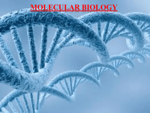 Molecular Biology - Mitcon Bio Pharma