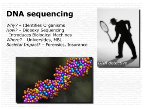 DNA Sequencing (06/11)