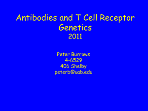 Antibody and T-Cell Genetics
