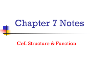 Chapter 7 Notes - Cloudfront.net