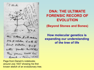 DNA Forensic Evidence Evolution2