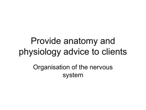 Provide anatomy and physiology advice to clients