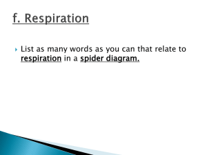f. Respiration