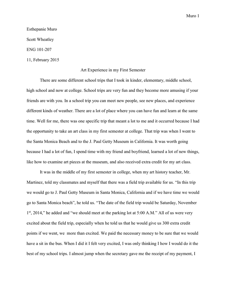 my trip to usa essay