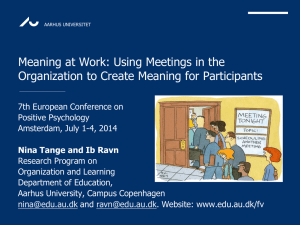 Meaning at work, ECPP 2014 - PURE