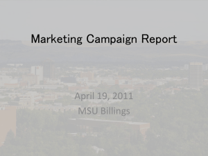 Preliminary Marketing Campaign Report