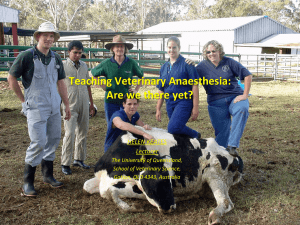 Teaching Veterinary Anaesthesia: Are we winning?