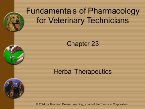 Chapter 23 - Herbal Therapeutics - Delmar