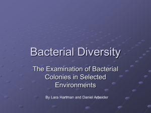 The Examination of Bacterial Colonies in Selected Environments