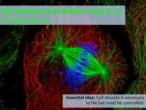 Cell Division (1.6) & Stem Cells