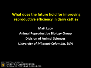 What Does the Future Hold for Improving Reproductive Efficiency in