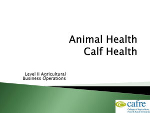 Dairy Animal Health Week 3 – (Vet) Calf Health 4.79MB