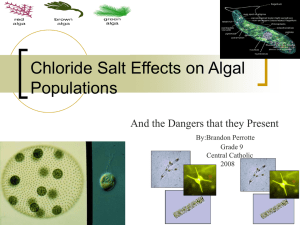 Perrotte Chloride_Salt_Effects_on_Algal_Populations4.0