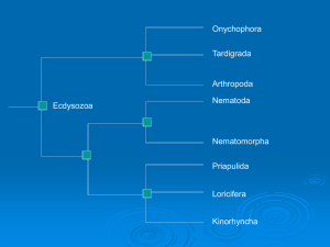 Phylum Arthropoda - Plattsburgh State Faculty and Research Web