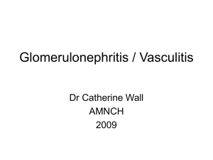 glomerulonephritis-vasculitis-final-med-2009-dr