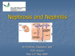 Nephrosis and Nephritis