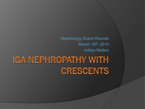 Crescentic IgA Nephropathy