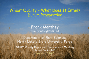 Wheat Quality-Durum Perspective