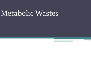 Metabolic Wastes - SchoolWorld an Edline Solution