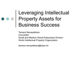 Intellectual Property Rights and Business Competitiveness