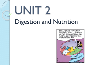 Digestion & Nutrition Notes