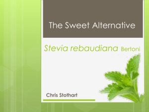 Stevia-Stothart