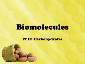 Biomacromolecules part II Carbohydrates