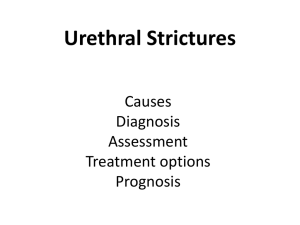 Urethral Strictures - North West Urology Registrar Group