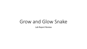 Grow and Glow Snake