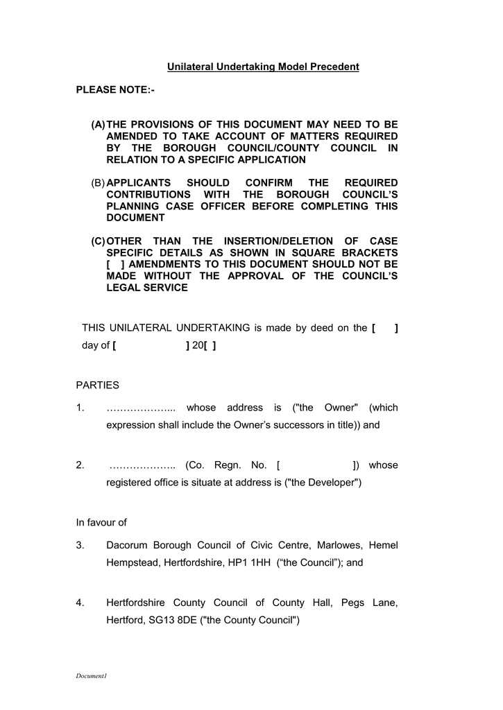 Legal Undertaking Template