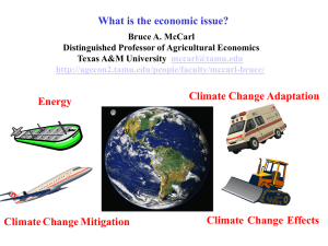 Topic 4: What is the economic issue?