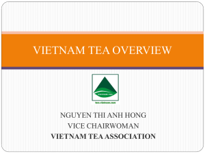 Chè Việt Cơ hội và thách thức - Food and Agriculture Organization