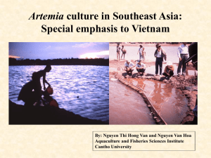 Artemia culture in Southeast Asia
