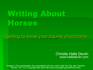Writing About Horses Presentation