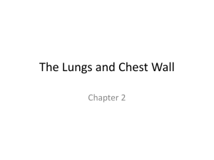 The Lungs and Chest Wall - Respiratory Therapy Files