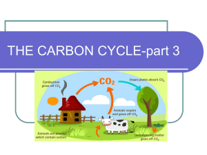 THE CARBON CYCLE - Issaquah Connect