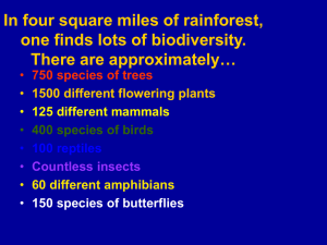 In four square miles of rainforest, one finds lots of biodiversity. There