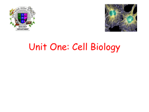 Unit One: Cell Biology - whitburnscience